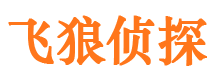 崇左外遇出轨调查取证